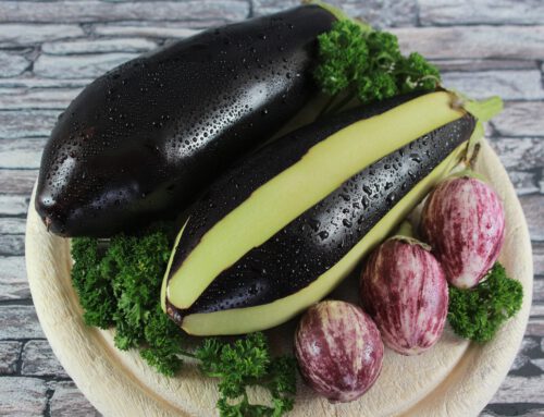 De aubergine: Onmisbaar in de Turkse keuken