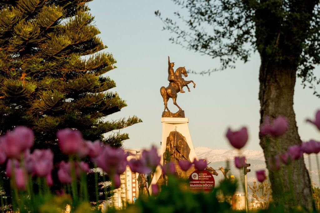 het verhaal van de tulp uit Turkije