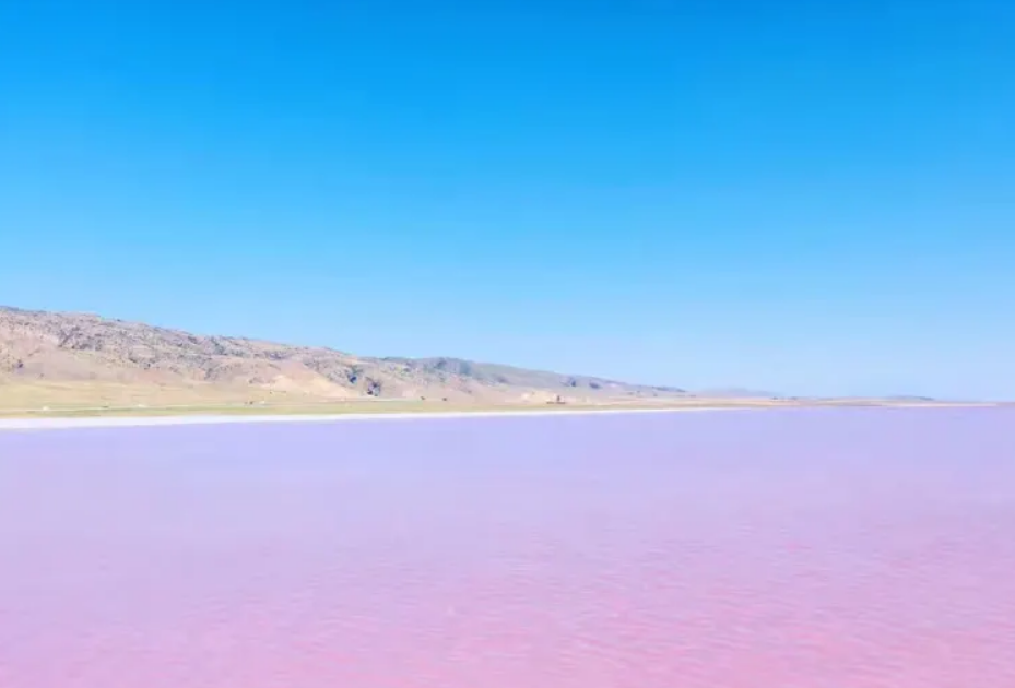 De roze kleur van Lake Tuz