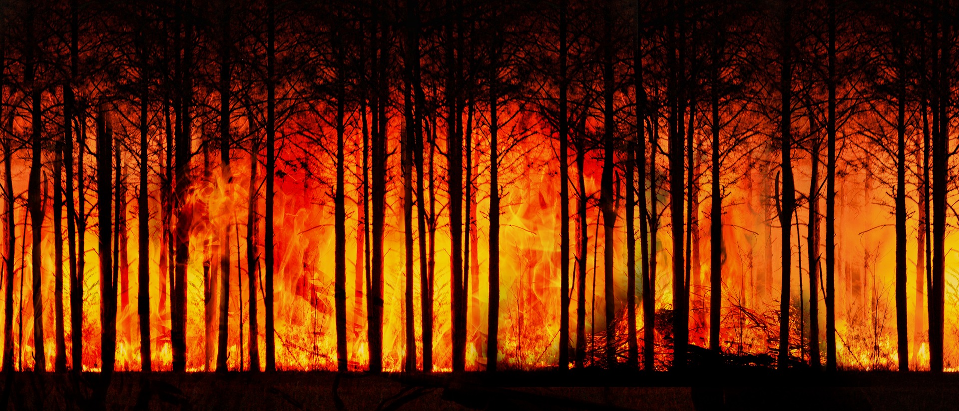 bosbranden in Turkije